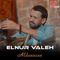 Elnur Valeh — Aldanasan — обложка